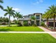 Vibrant green Florida lawn with palm trees and a sunny blue sky.