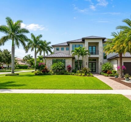 Vibrant green Florida lawn with palm trees and a sunny blue sky.